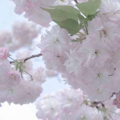 剑河FurryQQ群介绍